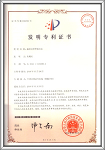 专利证书 9