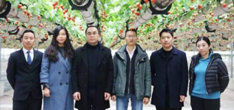 2019.1.7中粮集团商品部总经理刘安一行考察绿沃川洽谈果蔬购销合作