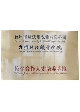 Talent training base of school enterprise cooperation