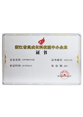浙江省高成长科技型中小企业证书